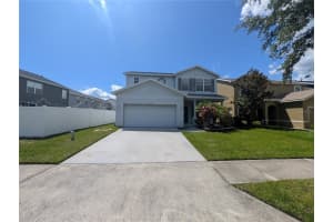 12513 Bay Branch Ct, TAMPA