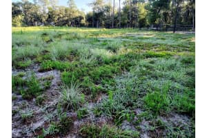 0 Sw 153 Ln, DUNNELLON