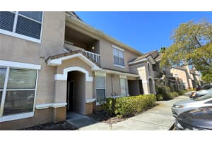 17952 Villa Creek Dr, TAMPA
