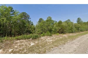 7619 N Normandy Pl, DUNNELLON