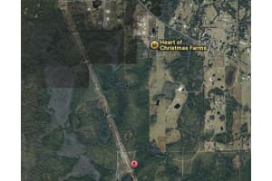 Fort Christmas Rd Way, ORLANDO