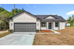 13750 Sw 43rd Circle, OCALA