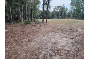 12864 Sw 41st Pl, OCALA
