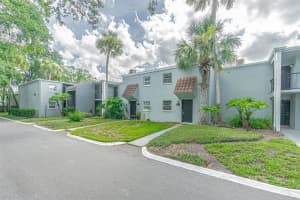 2818 Somerset Park Dr, TAMPA