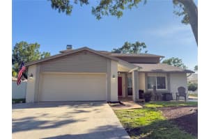 15816 Hound Horn Ln, TAMPA