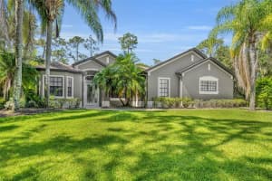 13916 Bramble Bush Ct, ORLANDO