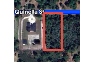 Quinella St, ORLANDO