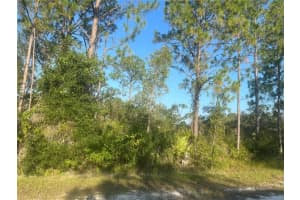 0 Columbus Dr, INDIAN LAKE ESTATES