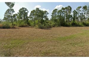 12475 Dogfish Ct, PLACIDA