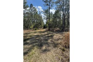 Sw 156th Court, OCALA