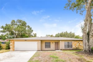 1103 Briarpark Way, VALRICO