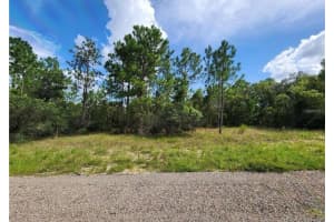 3504 W Seahorse Ln, DUNNELLON