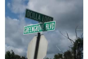 Greengrove Blvd #lot26, CLERMONT