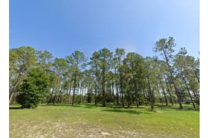 24135 Greenwood Xing, EUSTIS