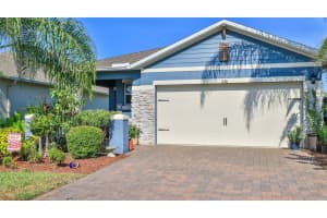 236 Caryota Ct, NEW SMYRNA BEACH