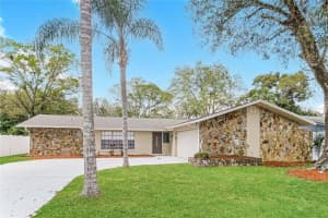 17604 Meadowbridge Dr, LUTZ