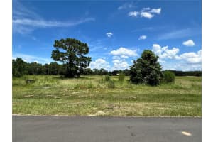 38796 Ranch Gate Blvd, UMATILLA