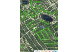 421 Tahiti Ln, LAKE PLACID