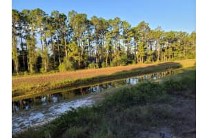 Quarterly Pkwy, ORLANDO