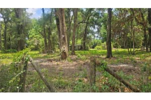 17693 Se 30th Ave, SUMMERFIELD