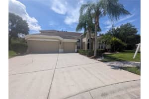 10411 Riverburn Dr, TAMPA