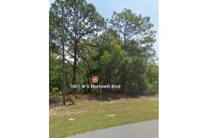 1801 W G Martinelli Blvd, CITRUS SPRINGS