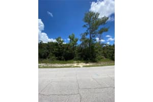 766 Arlene Dr, DELTONA