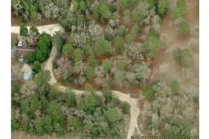 10001 N Holyoak Ter, DUNNELLON
