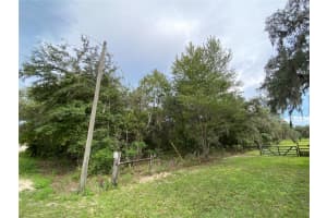 Star Dr N, DUNNELLON