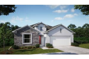 20 Fig Ct E, HOMOSASSA
