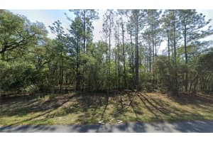 8123 N Yellowbird Ave, DUNNELLON