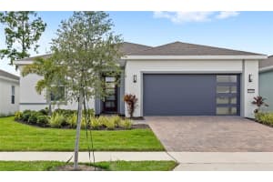 13732 Fresh Ivy St, WINTER GARDEN