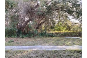 Sheeler Oaks Dr, APOPKA