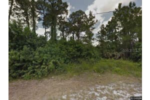 S Deerwood Park Heights Rd, DUNNELLON