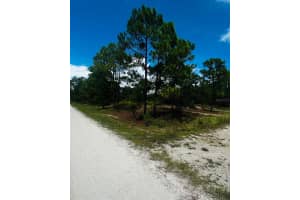 486 Dreamland Dr, LAKE PLACID
