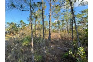 8108 Austrian Blvd, PUNTA GORDA 8108 Austrian Blvd, PUNTA GORDA