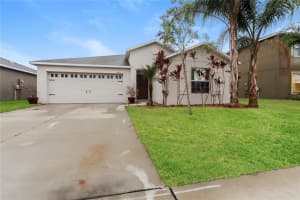 10121 Crested Fringe Dr, RIVERVIEW