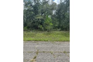 875 E Elston Pl, CITRUS SPRINGS