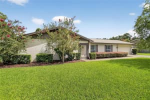 13805 Cherry Brook Ln, TAMPA