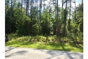 20 & 21 Sw Azalea, DUNNELLON