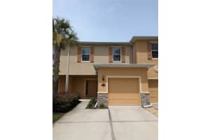 13803 River Fish Ct, TAMPA