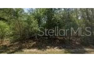 8545 N Wallingford Ave, DUNNELLON