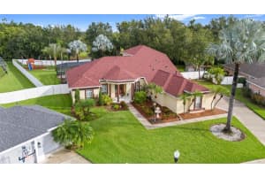 2818 Mossy Timber Trl, VALRICO