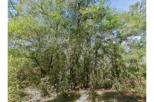 491 E Nemo Dr, DUNNELLON