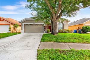 9727 Long Meadow Dr, TAMPA