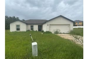 521 Big Black Way, KISSIMMEE