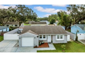 1352 Foxwood Dr, LUTZ