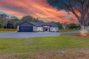 4025 Meadow Run Ln, WESLEY CHAPEL