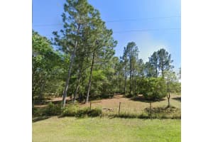 26300 Pheasant Run, WESLEY CHAPEL