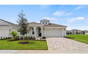 30285 Rustic Mill St, MOUNT DORA
